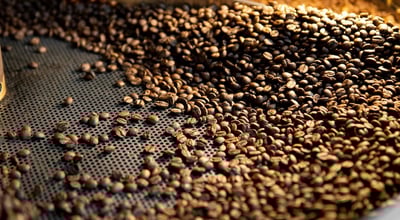 Café en grano recién tostado